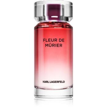 Karl Lagerfeld Fleur de Mûrier Eau de Parfum hölgyeknek 100 ml kép