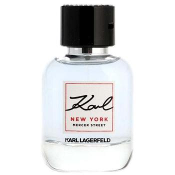 KARL LAGERFELD Karl New York Merces Street EdT 100 ml kép