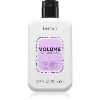 Kemon Group Volume sampon a dús hajért 250 ml kép