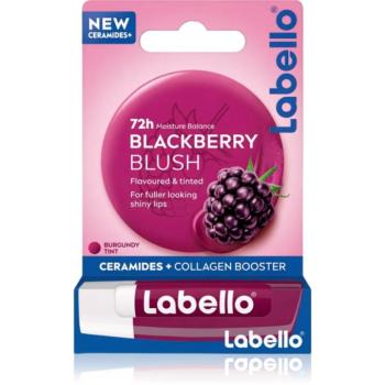 Labello Blackberry Shine hidratáló ajakbalzsam 4.8 g kép