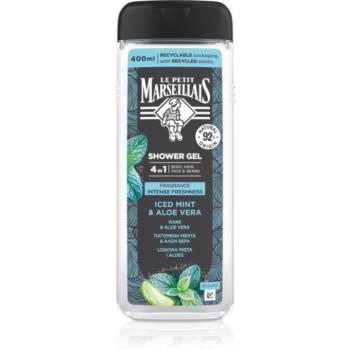 Le Petit Marseillais Iced Mint & Aloe Vera tusfürdő gél 4 in 1 uraknak 400 ml kép