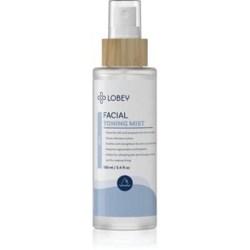 Lobey Skin Care Obličejová Mlha bőr tonizáló permet 100 ml kép