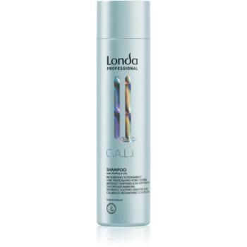 Londa Professional Calm finom állagú sampon érzékeny fejbőrre 250 ml kép