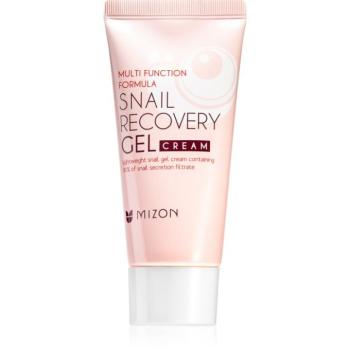 Mizon Multi Function Formula Snail arcgél csiga kivonattal 45 ml kép