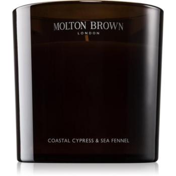 Molton Brown Coastal Cypress & Sea Fennel illatgyertya 600 g kép