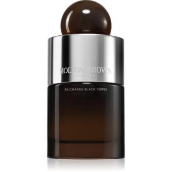 Molton Brown Re-charge Black Pepper EDP Eau de Parfum hölgyeknek 100 ml kép
