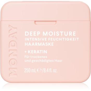 MONDAY Moisture intenzív hidratáló maszk száraz hajra 250 ml kép