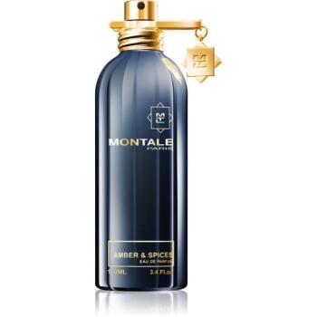 Montale Amber & Spices Eau de Parfum unisex 100 ml kép