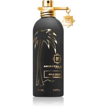 Montale Aqua Palma Eau de Parfum unisex 100 ml kép