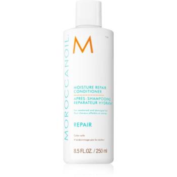 Moroccanoil Repair kondicionáló sérült, vegyileg kezelt hajra szulfátmentes 250 ml kép