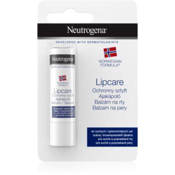 Neutrogena Norwegian Formula® ajakbalzsam 4.8 g kép