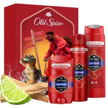 OLD SPICE Urban Traveller, 450 ml kép