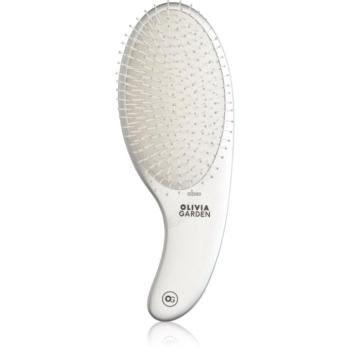 Olivia Garden Expert CURVE Nylon Silver hajkefe 1 db kép
