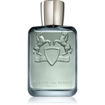 Parfums De Marly Castley Eau de Parfum uraknak 125 ml kép