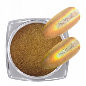 Pigmentpor Holo 06 () kép