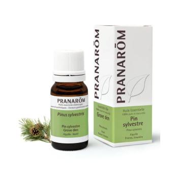 PRANAROM Erdei fenyő - Pinus sylvestris illóolaj (10ml) kép
