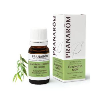 PRANAROM Eucaliptusz radiata illóolaj (10ml) kép
