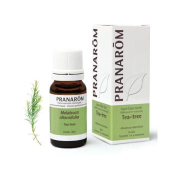 PRANAROM Teafa - Melaleuca alternifolia illóolaj (10ml) kép