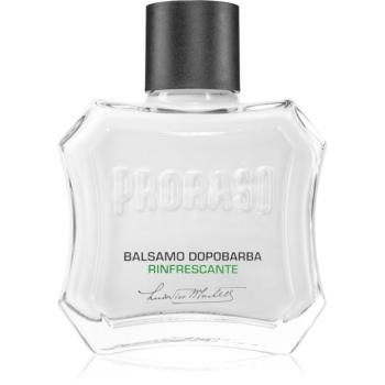 Proraso Refreshing frissítő balzsam borotválkozás után 100 ml kép