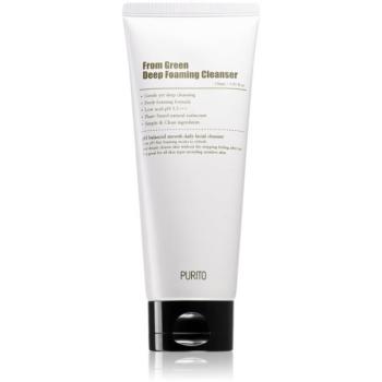 Purito From Green mélyisztító hab az arcra 150 ml kép