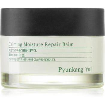 Pyunkang Yul Calming Moisture Repair Balm regeneráló hidratáló balzsam az érzékeny arcbőrre 30 ml kép