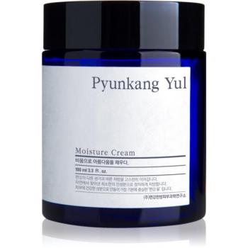 Pyunkang Yul Moisture Cream hidratáló arckrém 100 ml kép