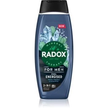 Radox Feel Energised fürdőgél férfiaknak 2 az 1-ben 450 ml kép