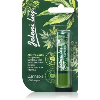 Regina Jelení lůj Cannabis ajakbalzsam kender olajjal 4.5 g kép