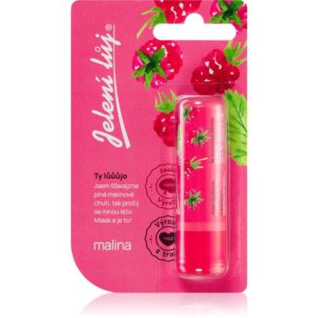 Regina Jelení lůj Raspberry ajakbalzsam málna illatú 4.5 g kép