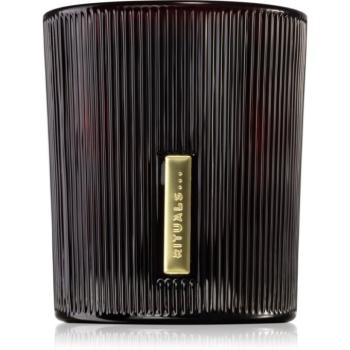 RITUALS The Ritual Of Ayurveda illatgyertya 290 g kép