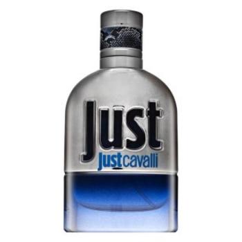 Roberto Cavalli Just Cavalli Him 2013 Eau de Toilette férfiaknak 30 ml kép