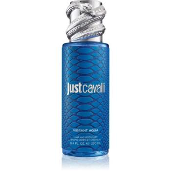 Roberto Cavalli Just Cavalli Vibrant Aqua parfümözött spray a testre hölgyeknek 250 ml kép