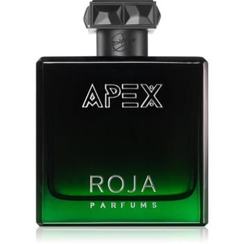 Roja Parfums Apex Eau de Parfum uraknak 100 ml kép