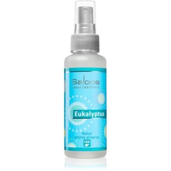 Saloos Air Fresheners Eucalyptus lakásparfüm 50 ml kép