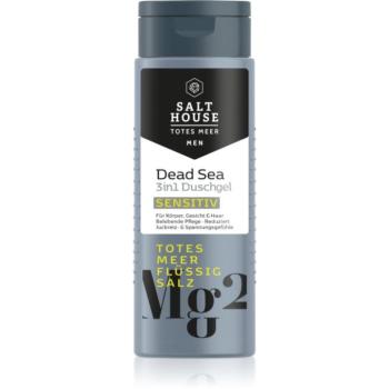 Salt House Dead Sea Men fürdőgél férfiaknak 3 az 1-ben 250 ml kép