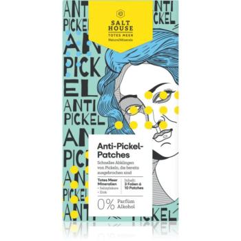 Salt House Natural Minerals Anti-pimple Patches tapasz problémás bőrre pattanások ellen 30 db kép