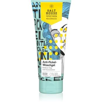Salt House Natural Minerals Anti-pimple Skin Care arctisztító és szemfestéklemosó gél pattanások ellen 250 ml kép