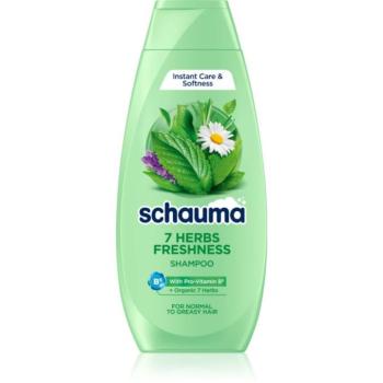 Schwarzkopf Schauma 7 Herbs Freshness gyógynövényes sampon normál és zsíros hajra 400 ml kép