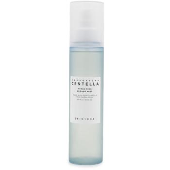 SKIN1004 Madagascar Centella Hyalu-Cica Cloudy Mist (Renewal), 120ml kép