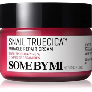Some By Mi Snail Truecica Miracle Repair Cream nyugtató és hidratáló krém 60 g kép