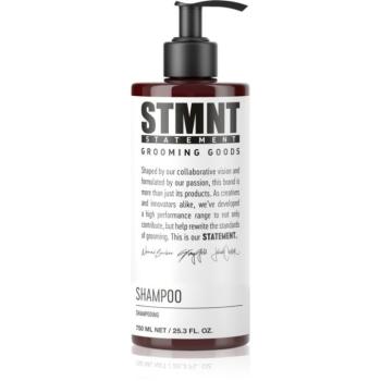 STMNT Care Shampoo tisztító sampon uraknak 750 ml kép