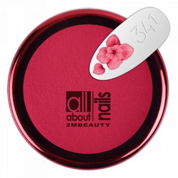 Színes Porcelánpor 341 (5g) kép