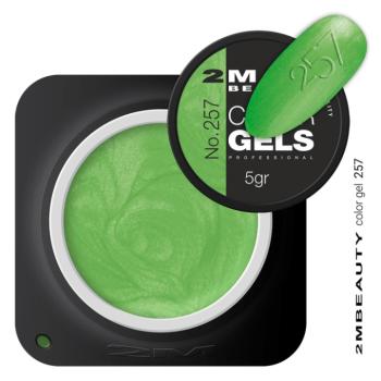 Színes Zselé - Selyemfényű 257 - HEMA Mentes (5g) kép