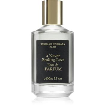 Thomas Kosmala A Never Ending Love Eau de Parfum unisex 100 ml kép