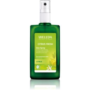 Weleda Citrus dezodor 100 ml kép