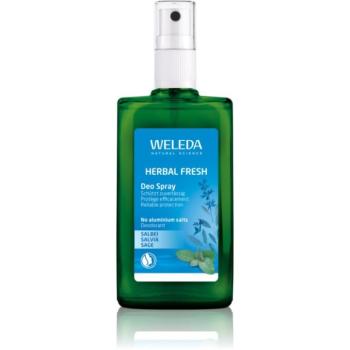 Weleda Sage dezodor 100 ml kép