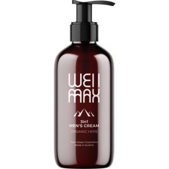 WellMax Férfi krém 3 az 1-ben, 250 ml kép