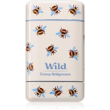 Wild Honey & Cactus Flower Bee Case izzadásgátló deo stift tokkal 40 g kép