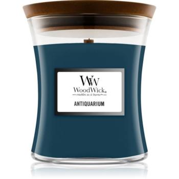 Woodwick Antiquarium illatgyertya 275 g kép
