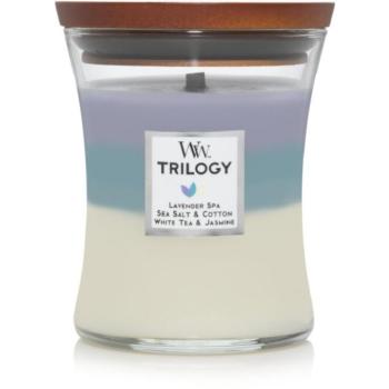 WOODWICK Calming Retreat 275 g kép